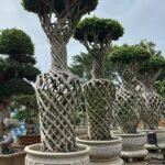 High‑End Vase‑Shape Sculpted Ficus